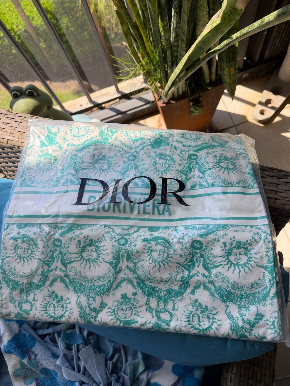 Dior White and Teal Canvas Tote Bag